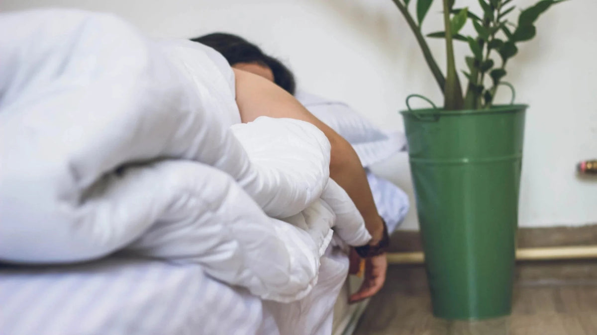 Hotel-Quality Comforters: A Buyer's Guide - FluffCo | Hotel Comfort