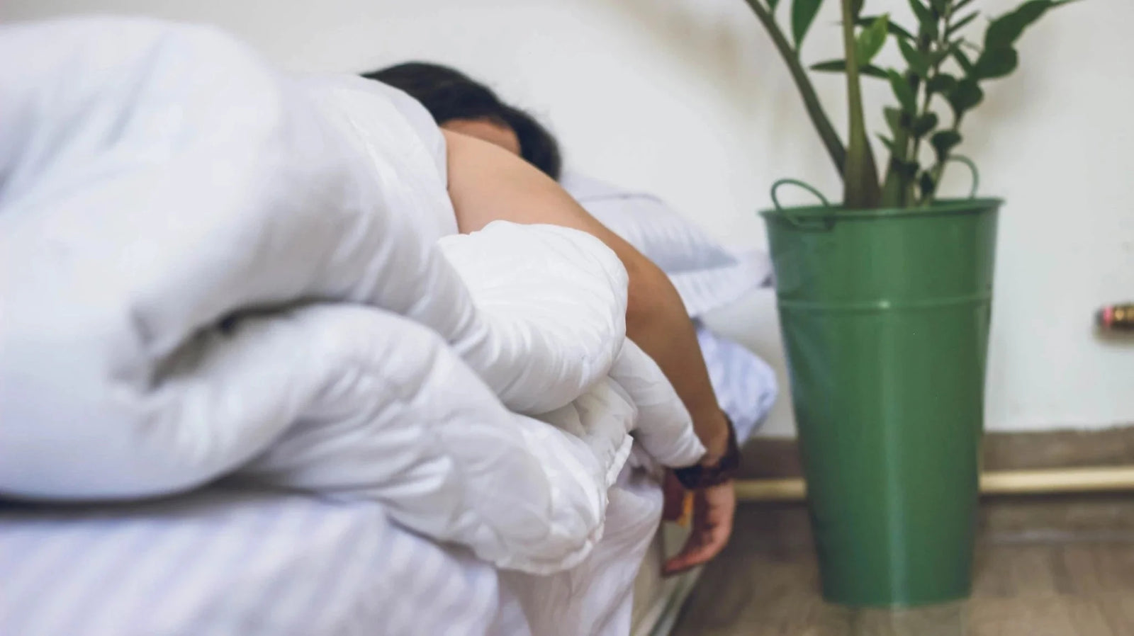 Hotel-Quality Comforters: A Buyer's Guide - FluffCo | Hotel Comfort