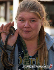 Down Blended Comforter