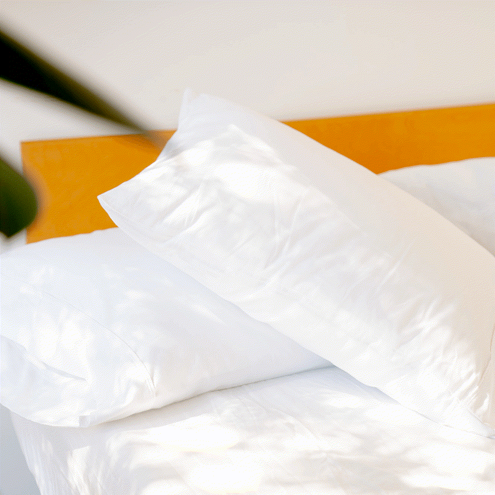 2x Hotel Pillows & Pillowcase Set (Down Alternative)