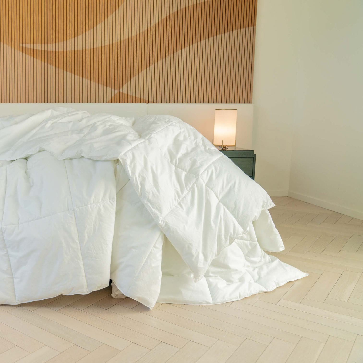 Pillow & Comforter Kit