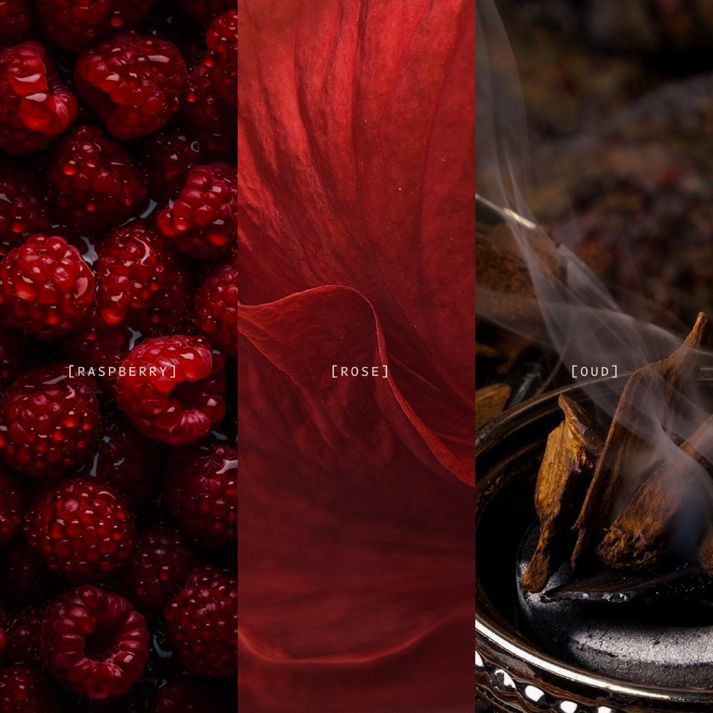 Marrakech fragrance notes