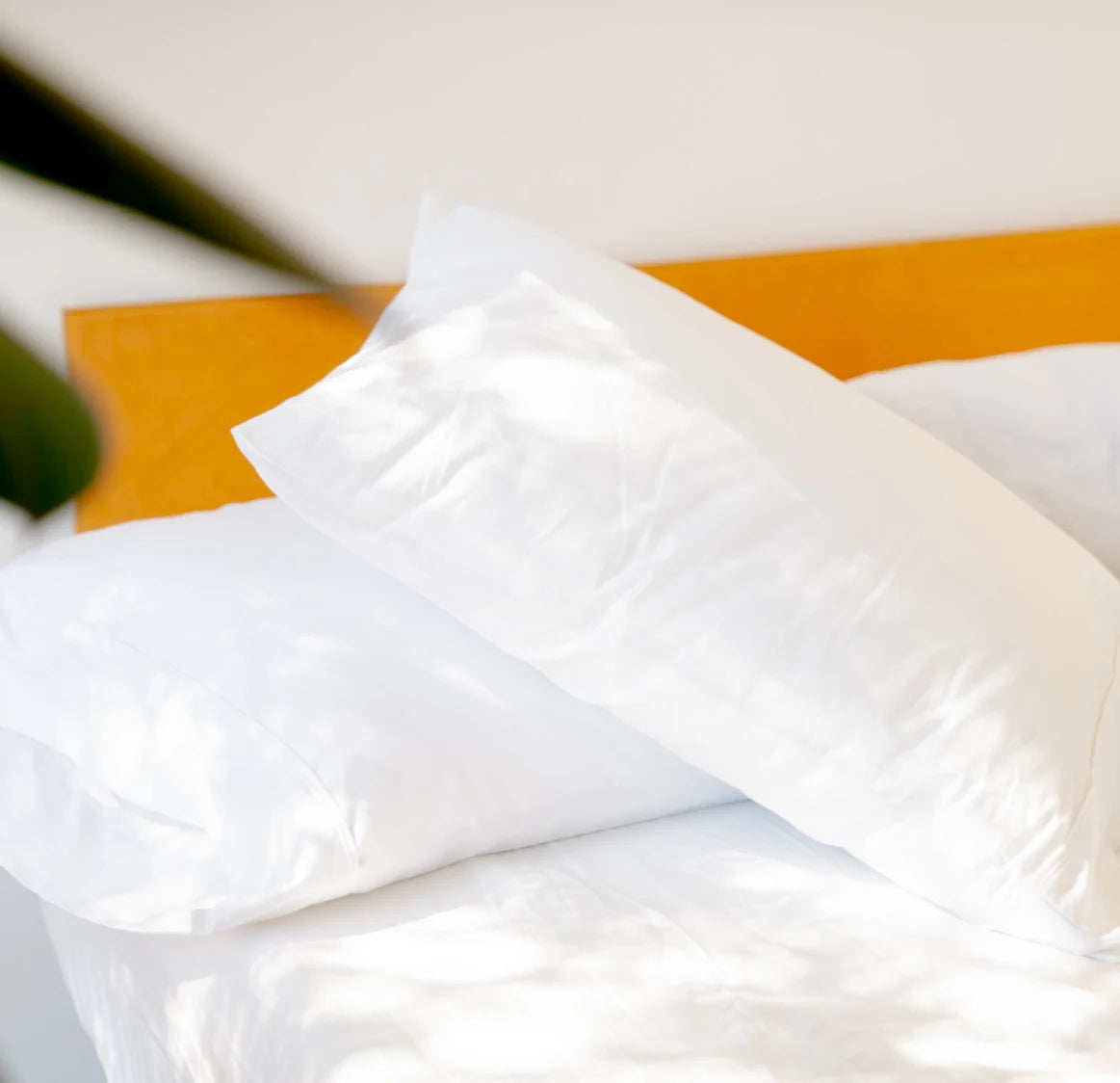 FluffCo Hotel-Quality Pillows