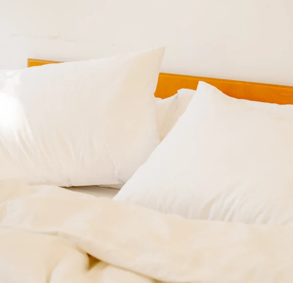 The Sleep Collection