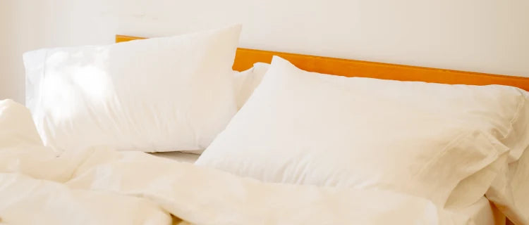 The Sleep Collection